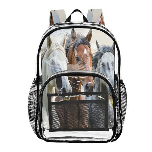 Mochila transparente de caballos aprobada para estadios que soluciona filas en seguridad 1