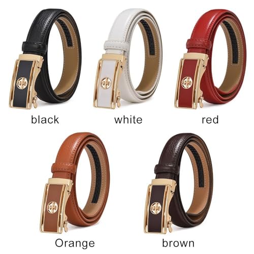 Belt Women Pants Bands Casual Elegant Vintage Ladies Dress Belts(black)2