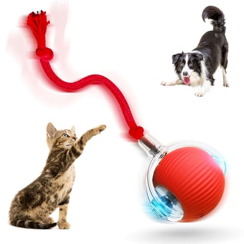 Interactive Cat Toys Balls for Indoor Cats, 2025 New Motion Activ...