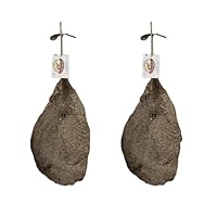 Mâchoires de porc fabriquées à la main, choisissez le meilleur, temps de maturation minimum de 3 mois, attention aux produits industriels pour vos plats. Fabriqué par la sélection minutieuse de matières premières avec 100 % de porcs italiens élevés d...