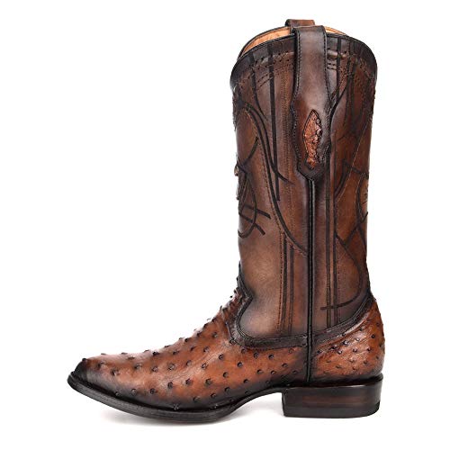 Cuadra Men's Western Boot in Genuine Ostrich Leather Brown4