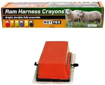 Nettex All Weather Sheep Marking Crayons - 10 Pack (Orange)