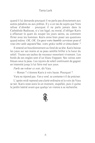 L'ombre du paladin
