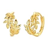 Hapour Pendientes de Aro de Plata de Ley 925 para Mujeres Niñas Pendientes de Aro Pequeños Regalos Pendientes de Hélice de Cartílago