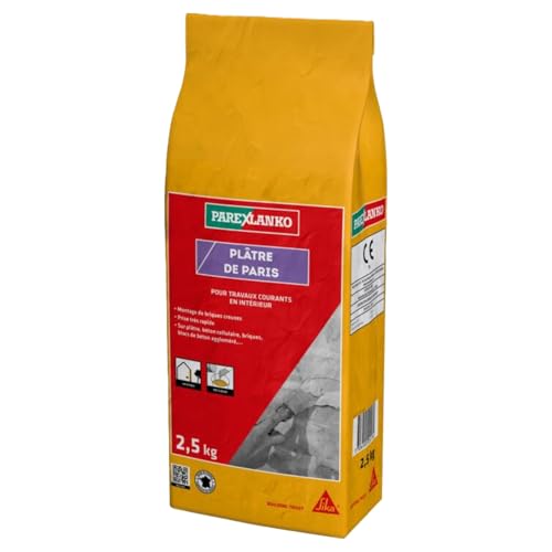 Parexlanko - Plâtre fin pour réparation, rebouchage et scellement en intérieur - Prise très rapide - 2,5kg, Gris