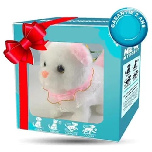 qL̓dʂ L y2025NV^EAIFEAȓz dqybg dߋ drœ ʂ    L c Mtg mߋ j̎q ̎q qav[gl̖ɂœKiȂj (sN