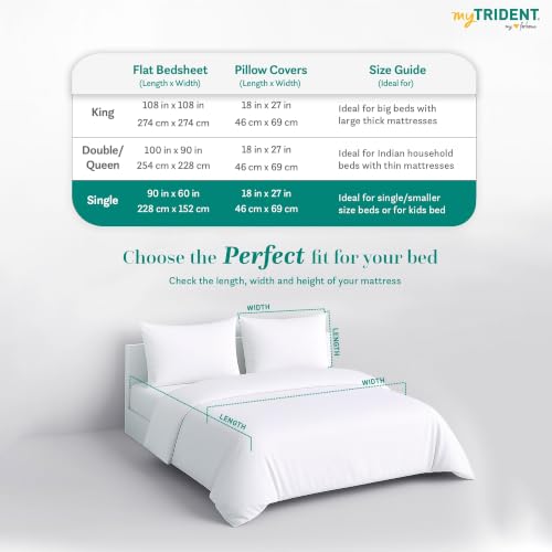 Image of Mytrident Bedsheet for Single Bed Cotton | 60 inch x 90 inch | Flourish Blue