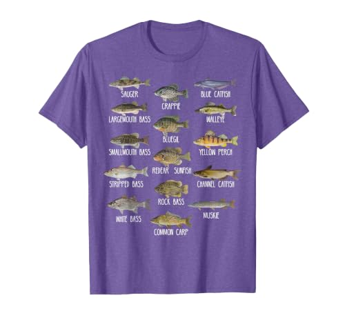 Types of Freshwater Fish Species Biology Fishing T-Shirt, Men, Purple Heather, X-Large
