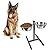 Dog Elevated Food Bowl Holder Set - Raised Cat Feeding Station Stand - Adjustable Height Pet Double Feeder - 2 Stainless Steel Water Bowls (Large)