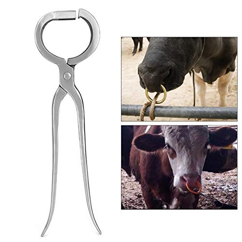 Pince de poinçonnage pour bovins robuste en métal de 35 cm
