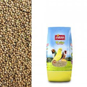 JARAD MIJO Amarillo 1KG