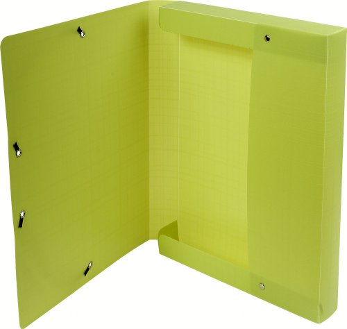 Exacompta 553573E Premium Sammelbox Forever 40mm mit Gummizug aus Recycling-Kunststoff mit Rückenschild für DIN A4 Archivbox Heftbox Dokumentenbox Zeichenbox Sammelmappe grün