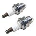NGK (5574) BPM8Y Spark Plugs Individual Boxed - 2 Pack