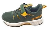 Istamax