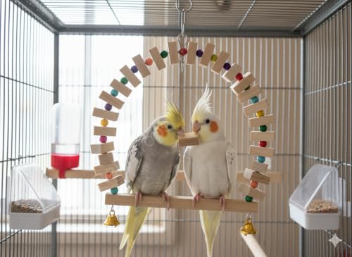 Image of Raindrops Wooden Swing with Colourful Beads for Bird Cages|Birds Stress Free Items|Cage Accessories|Wooden Ladder|Swing with Dotted Perch|Birds Chew Toy|Training aid Toy (Height 25.5cm-Pack of 1)