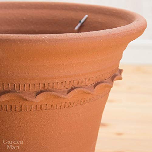ウィッチフォード テラコッタ植木鉢 Happy Birthday Amazon | ウィッチフォード テラコッタ植木鉢 Happy Birthday ペイ