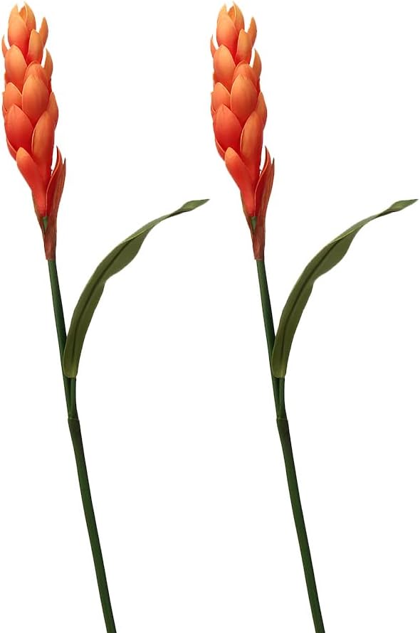 2Pcs Fake Ginger Lily Stem Bromeliad Artificial Flower 30.7" Ginger Flower for Flower Bouquet Office Home Party Decoration