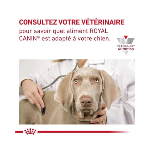 Royal Canin Cardiac | 2kg | Trockenfutter für Hunde | Kann zur Unterstützung der Herzfunktion beitragen | Enthält eine Kombination aus Nährstoffen wie Taurin und L-Carnitin