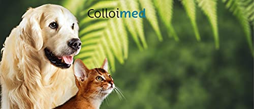 Colloimed Magnesium-Elektroden 1 Paar 3mm x 80mm für Medionic Ionic-Pulser (Magnesium 3x80)