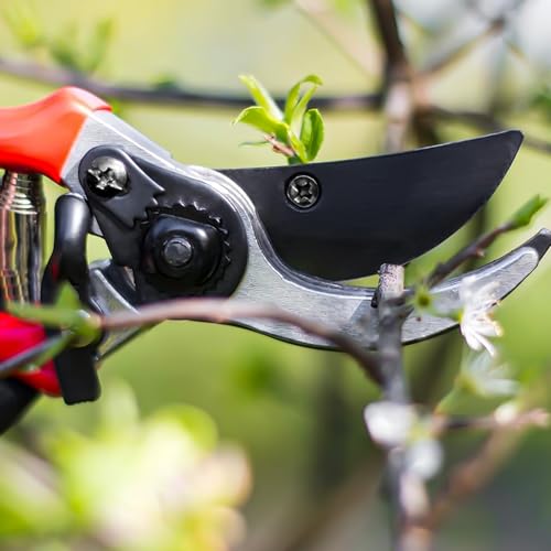 Tijeras de podar 8.5" para jardinería, acero resistente miniatura 7