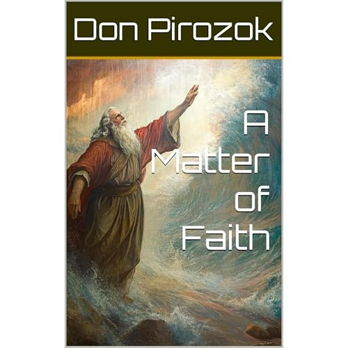 A Matter of Faith Audiolibro Por Don Pirozok arte de portada