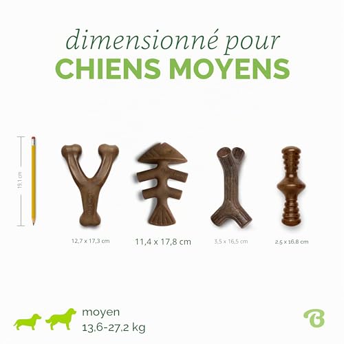 Jouets à mâcher Benebone pour chien taille M pack de 4 formes