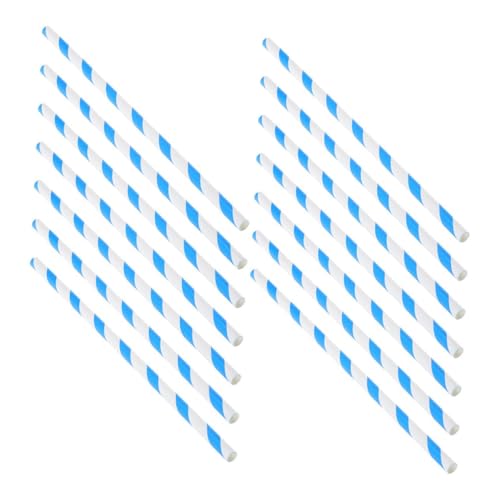 ARTSEWPLY 100  ȉَqpXeBbN pȉَq@Ή u[XgCv eʃpbN Ղ a EFfBO