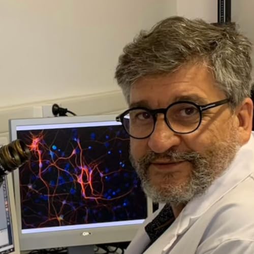 Sur la piste des hormones du stress