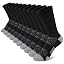 10 Pairs Black