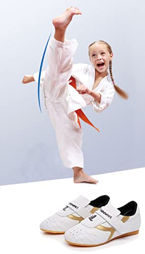 MSMAX Art Taekwondo Shoes Light Weight Boxing Karate Kung Fu