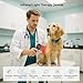 Dog Red Light Therapy Device, 650nm & 808nm Near Infrared Red Light Therapy Wand for Human and Pets, Portable Handheld Red Light Therapy for Joint, Muscle