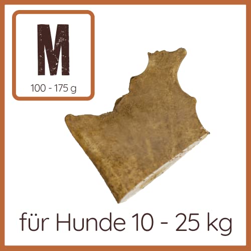 Wildfang® Damhirsch-Geweih – Geweihe für Hunde, Kauspielzeug und Kauartikel aus Hirschgeweih – Größe M für Hunde von 10–25 kg, 1er Pack