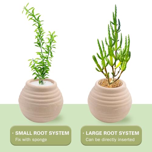 Image of 4 PCS Aquatic Plants Fixed Ring Set, Anti-Floating Ceramic for Fixing Water Plants Fish Tank Landscaping Ornaments Aquarium Decoration (White)