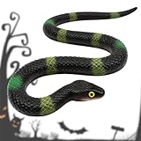 Zephyra