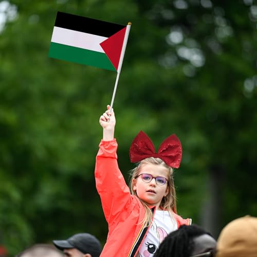 Drapeau de la Palestine petit format 100 pièces pour simplifier vos défilés