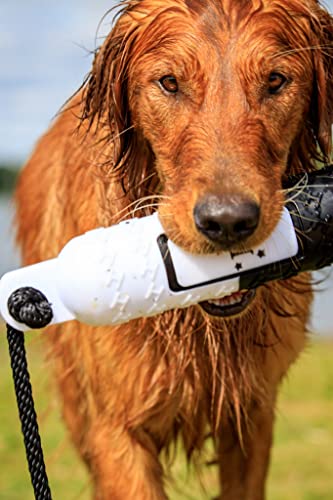 Huntmark Dog Training Tools – Deluxe Training Dummy For Hunting And Sporting Dogs – Dog Bumper Retriever – Color-Spectrum Analysis Dog Fetch Trainer – 11 X 2.6-Inch – Black And White #TOP4