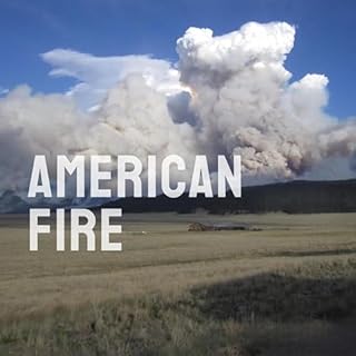 American Fire Audiolibro Por Andrew Erkkila arte de portada
