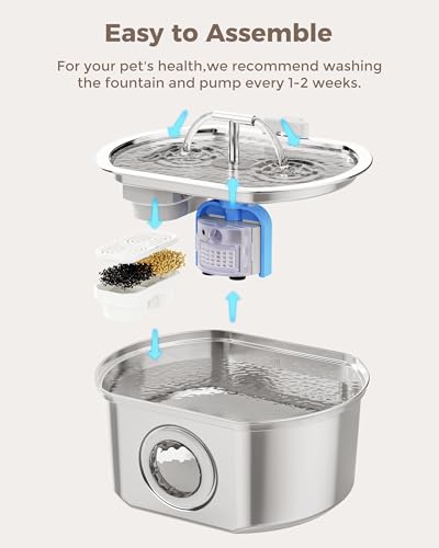 Pompe à eau pour chat et distributeur automatique d'eau de 3,2L