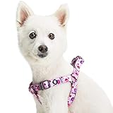 Blueberry Pet Essentials Step-in Spring Scent Inspired Garden Floral Dog Harness in Light Purple, Chest Girth 16.5" - 21.5", Small, Adjustable Harnesses for Dogs