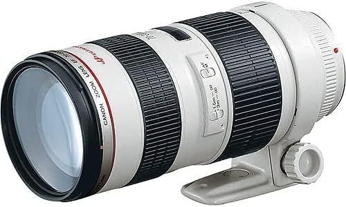 Amazon.com : Canon EF 70-200mm f/2.8L USM Lens (2569A004) + Filter