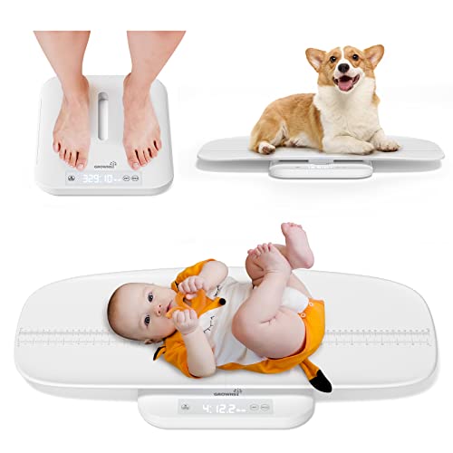 Top 10 Best Accurate Scale For Cats Reviews & Buying Guide Katynel