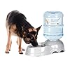 Pet Water Dispenser for Large Dogs and Multi-Pet, 3 Gallon Dog Water Bowl Dispenser, Basic Automatic Gravity Dog Cat Water Feeder, Large Capacity Pets Drinking Fountain, BPA-Free