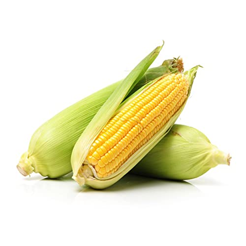 Sweet Corn Big UAE 1 kg Approx.