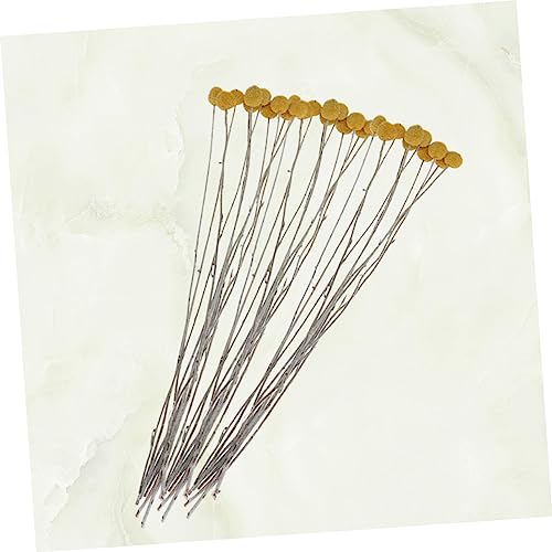 20 piezas flores secas decorativas Craspedia miniatura 3