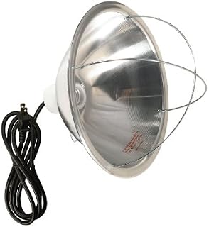Woods 0165 Brooder Lamp with Bulb Guard,10.5 Inch Reflector and 6 Foot Cord