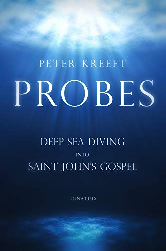 Probes view 2
