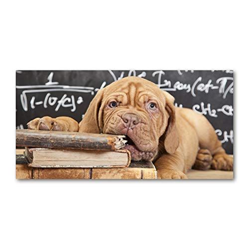 Crédence de cuisine en verre 120x60cm Tulup fond de hotte beige