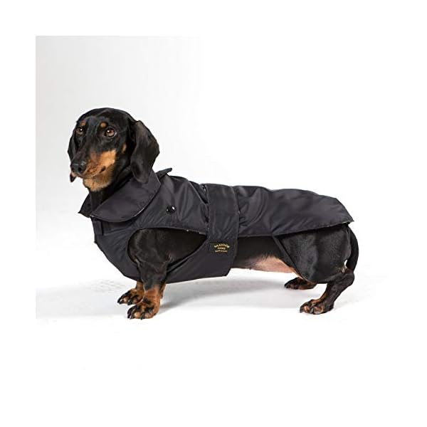 Fashion Dog Hondenjas speciaal voor teckel – zwart – 43