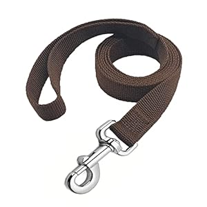 Strong Nylon Dog Leash, 4FT/ 5 FT/ 6FT Dog Leashes for Medium Large Dogs (5FT, Brown)