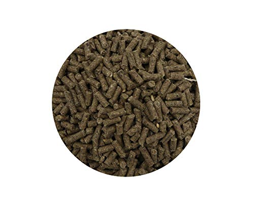 Granulés Lapin Nain Texture Croquante Repas Complet Aimé 1kg - 4